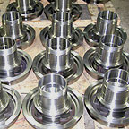 Gallery Image Alt Title